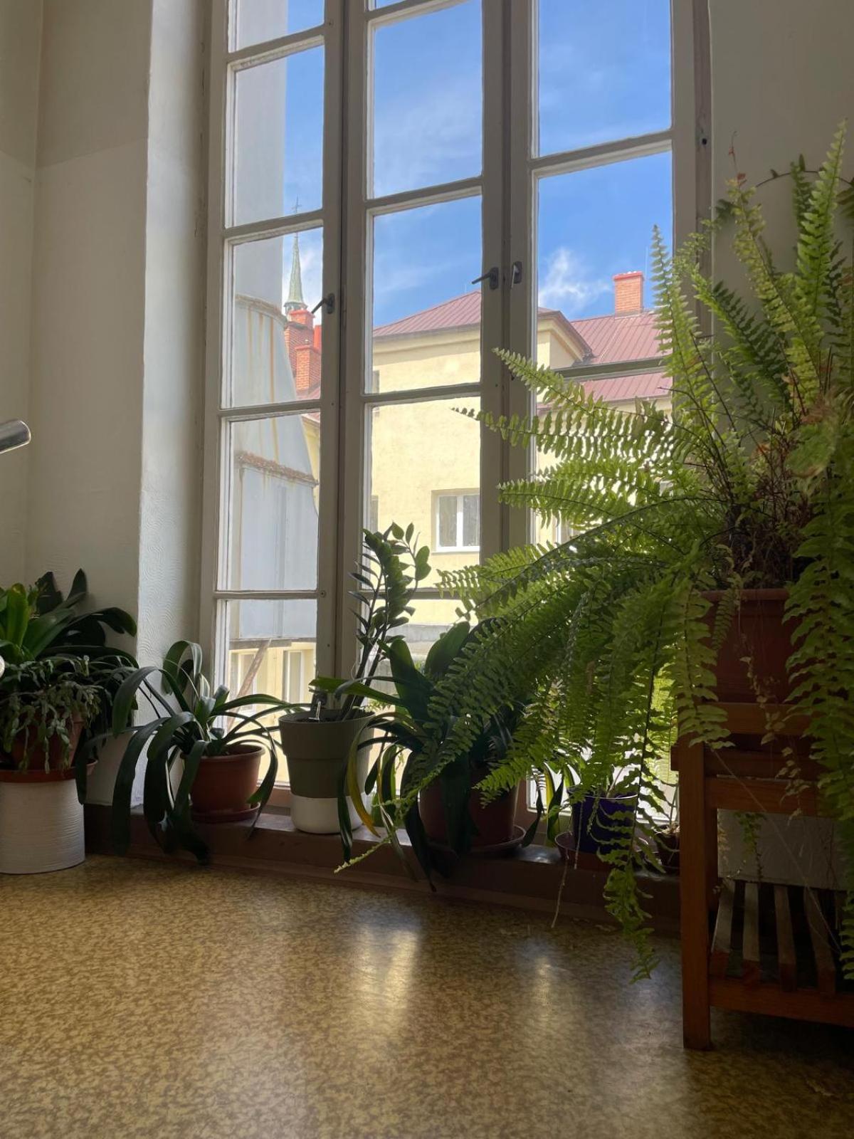 Hostel Moravia Ostrava Dış mekan fotoğraf